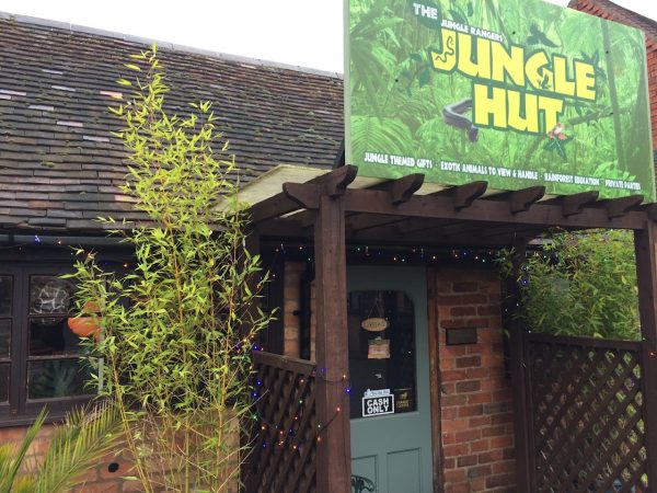 The Jungle Hut