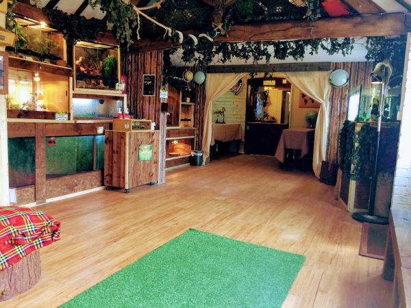 The Jungle Hut