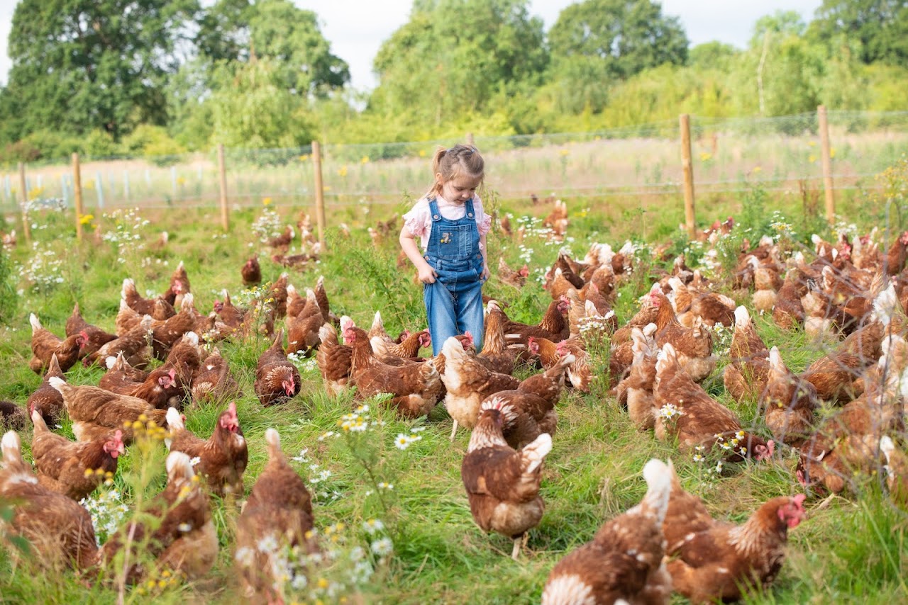 The Macs Farm