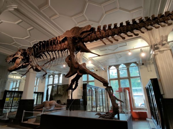 The Manchester Museum
