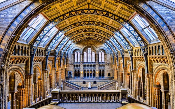 The Natural History Museum