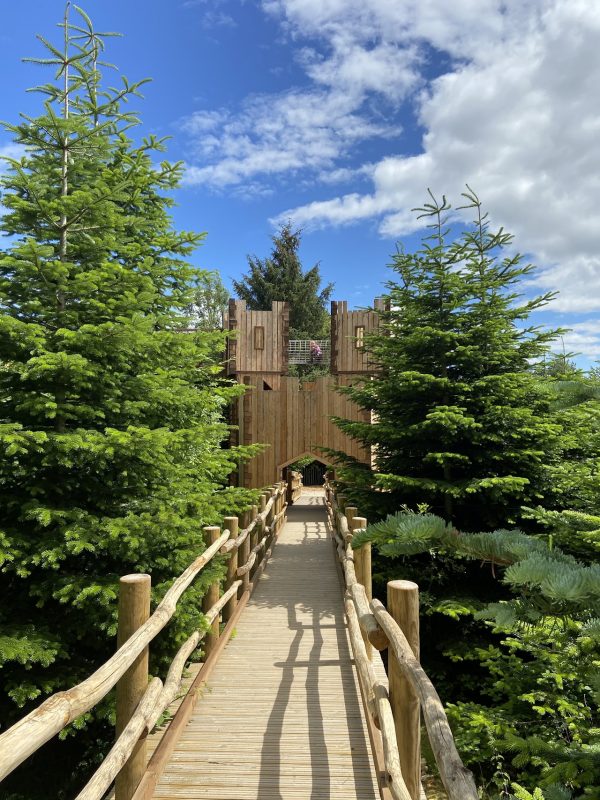 The Plotters’ Forest at Raby Castle