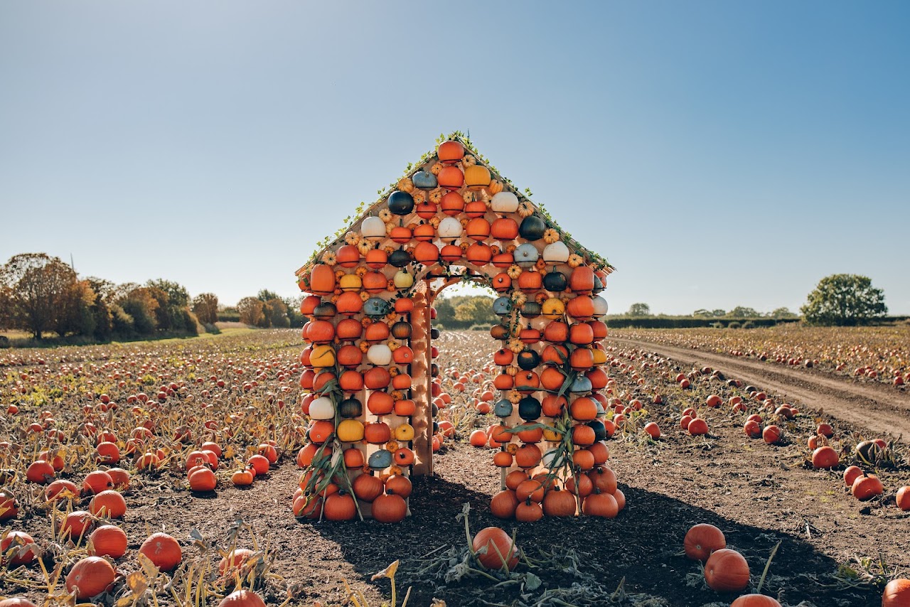 The Pumpkin Patch at Bewholme