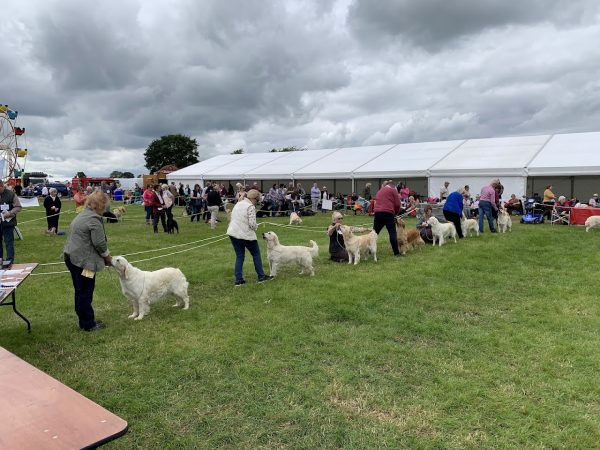 The Royal Cheshire County Show