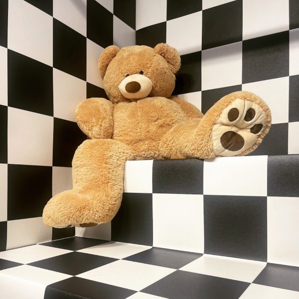 The Selfie Studio