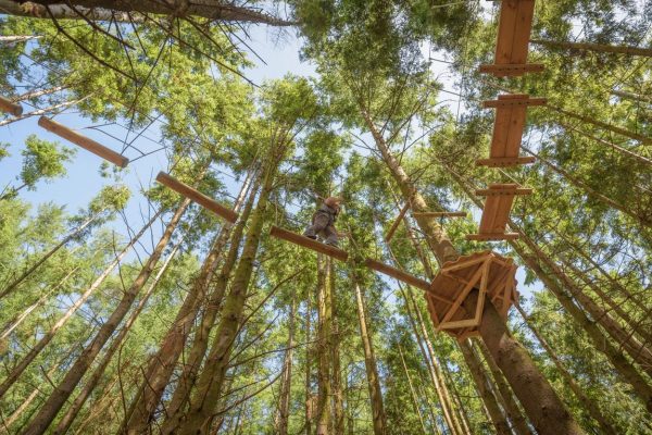 The Tunnel Tree Tops