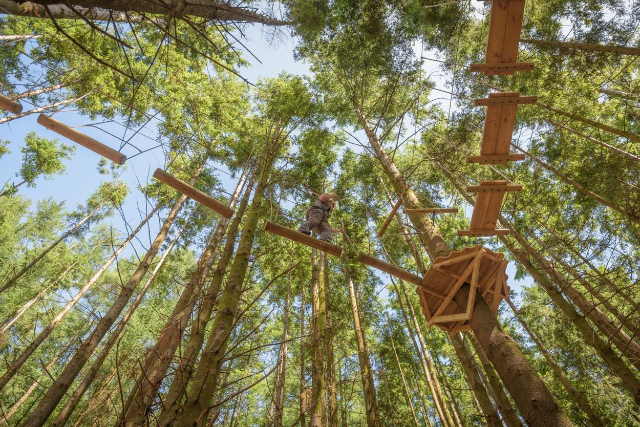 The Tunnel Tree Tops