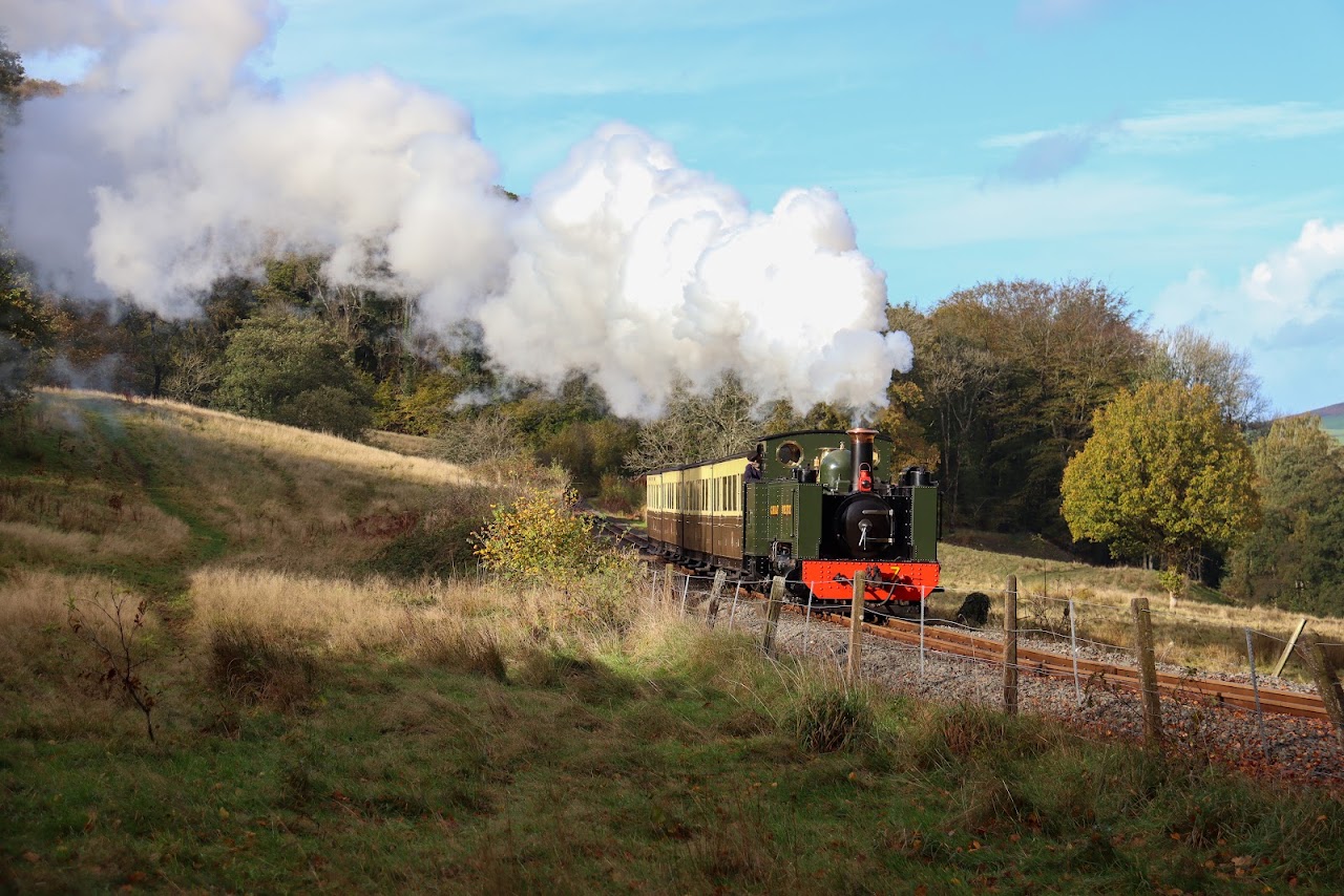 The Vale of Rheidol Railway