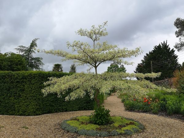 The Walled Gardens of Cannington