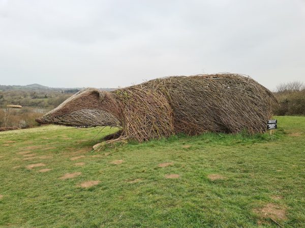The Welsh Wildlife Centre