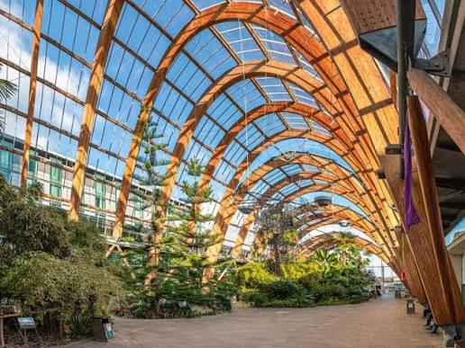 The Winter Garden