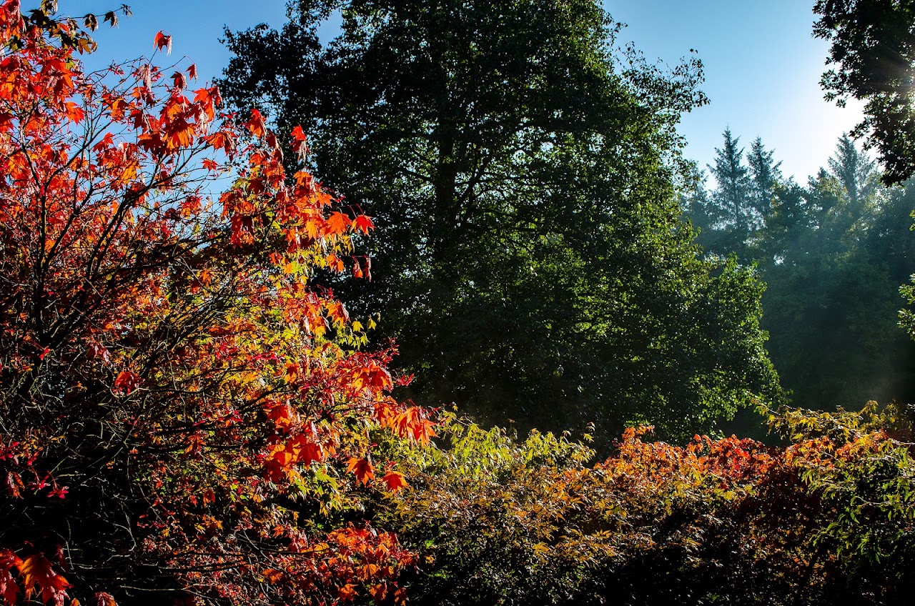 The Yorkshire Arboretum