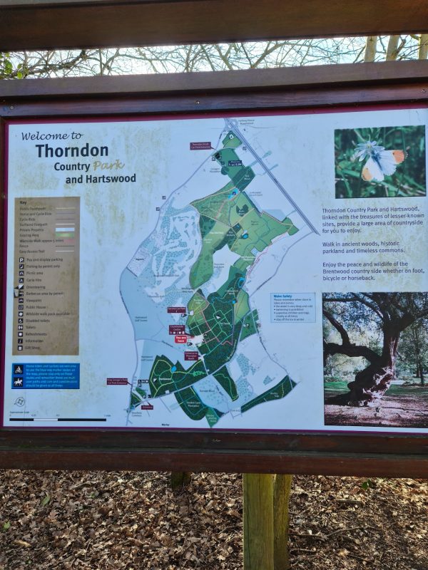 Thorndon Country Park