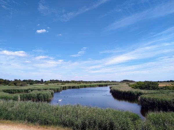 Thorney Island