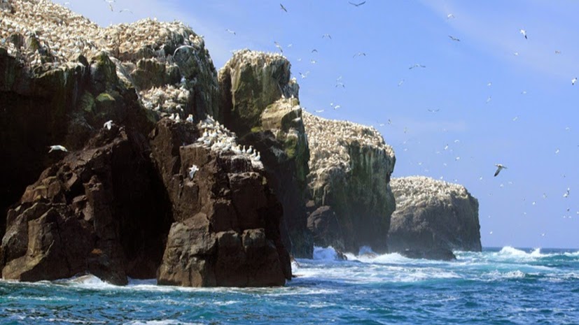 Thousand Islands Expeditions
