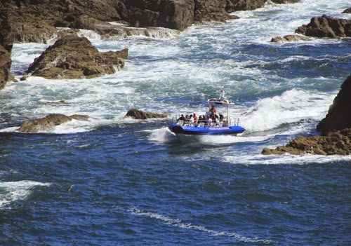 Thousand Islands Expeditions