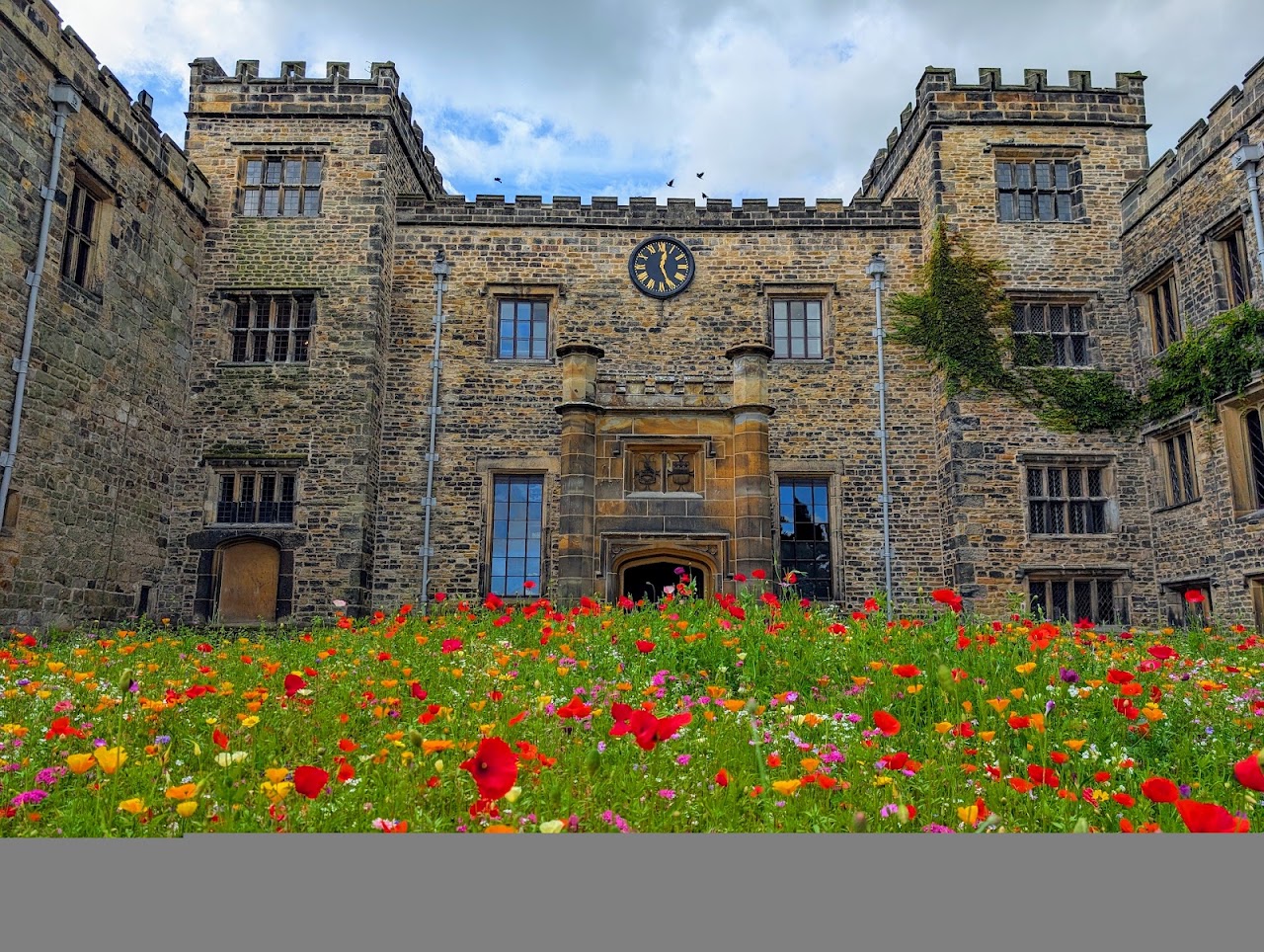Towneley Hall Museum