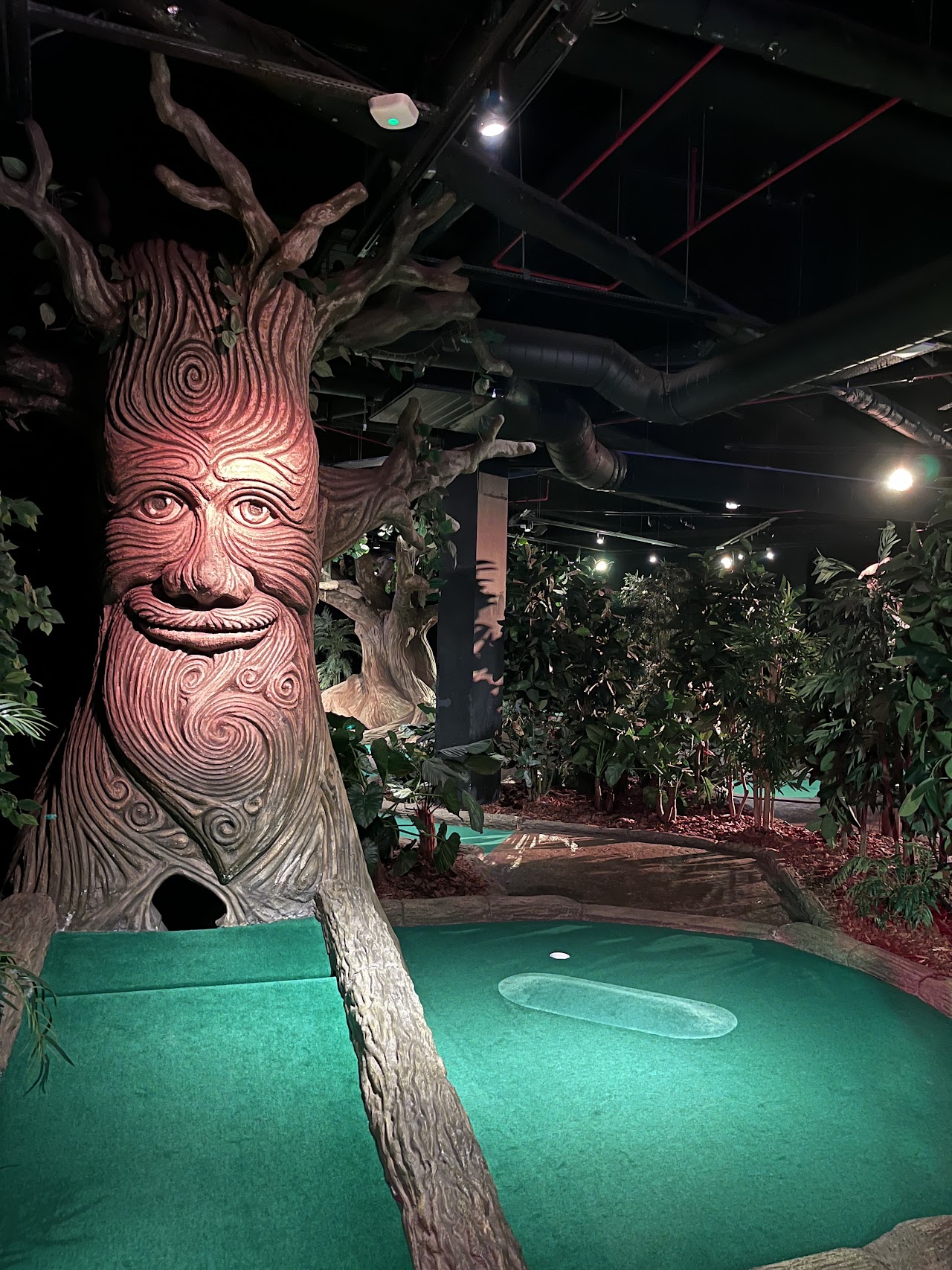 Treetop Golf Manchester