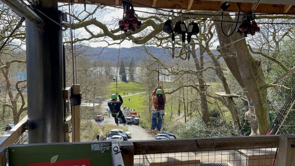 Treetop Trek Windermere