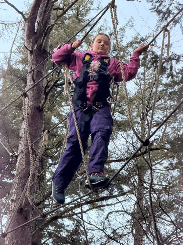 Treezone
