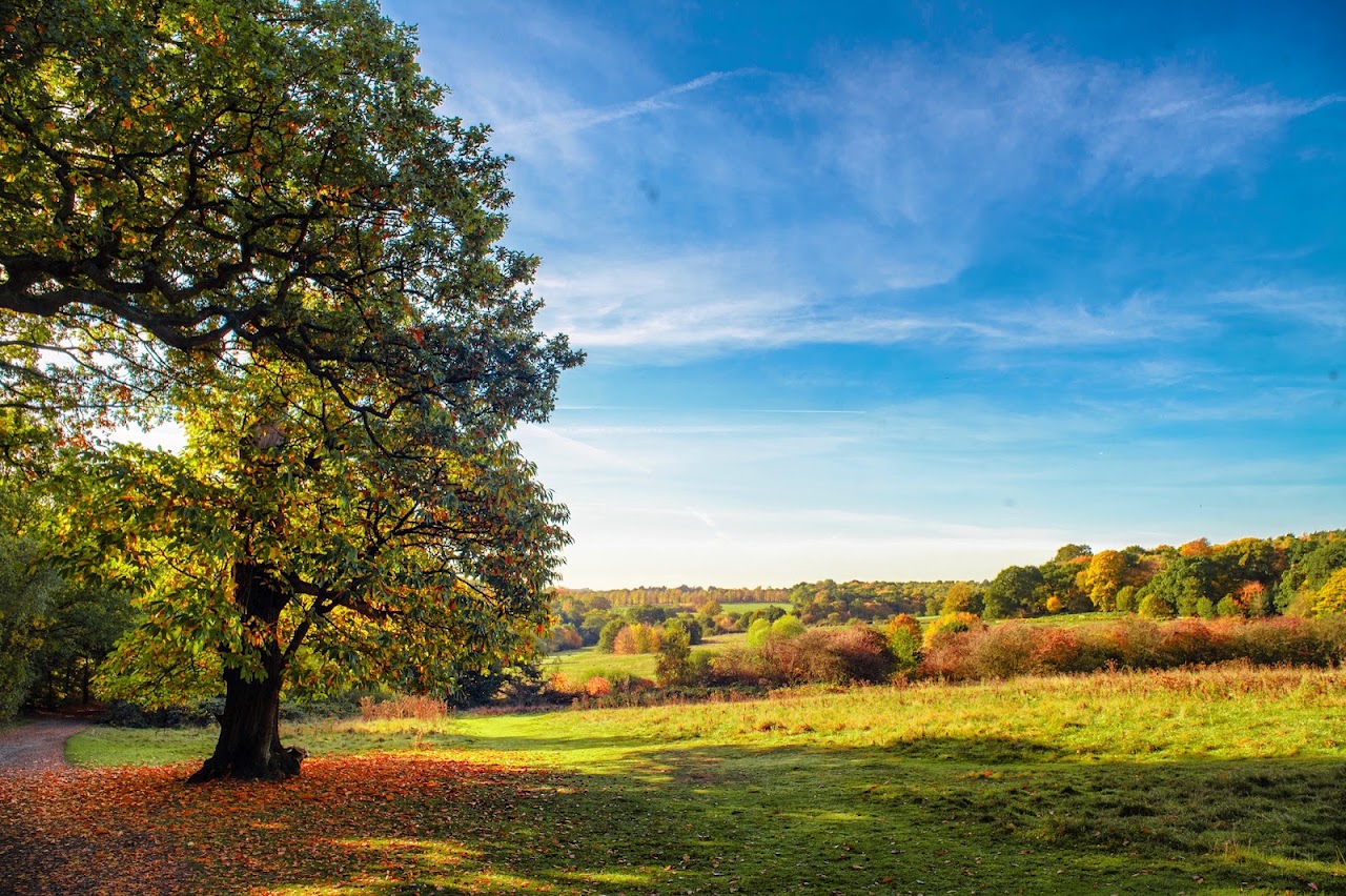 Trent Park Enfield