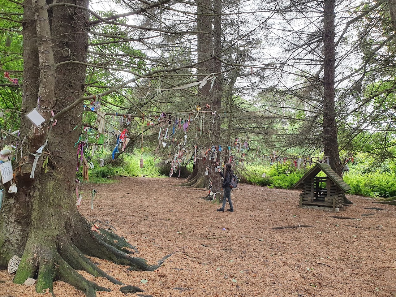 Troon Treasure Hunt Trail