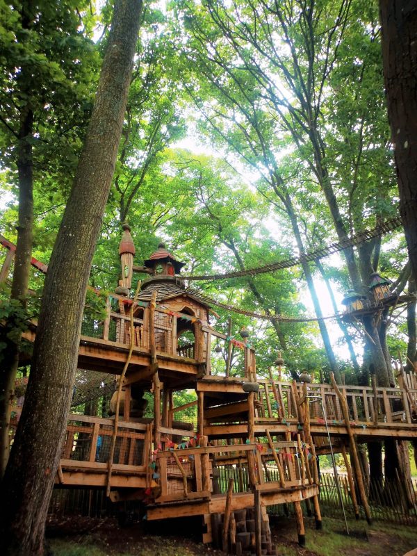 Tumblestone Hollow at Stonor Park