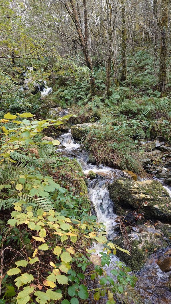 Ty Mawr Wybrnant