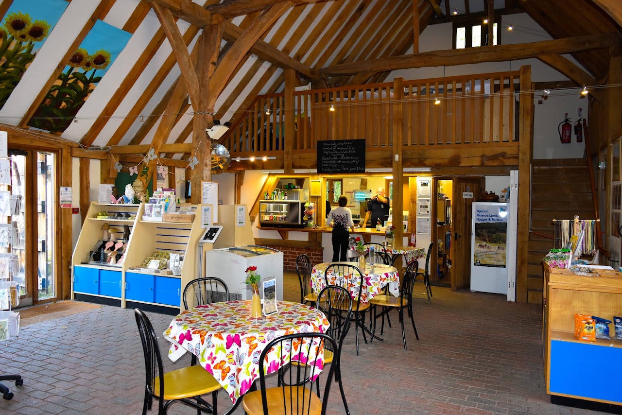 Tyland Barn Nature Park - Kent Wildlife Trust