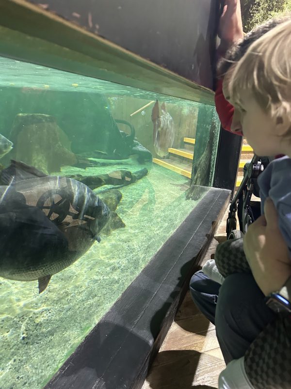 Tynemouth Aquarium