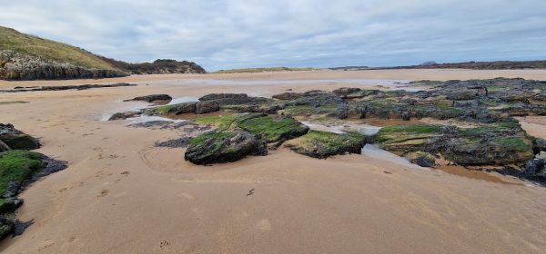Tyninghame Beach