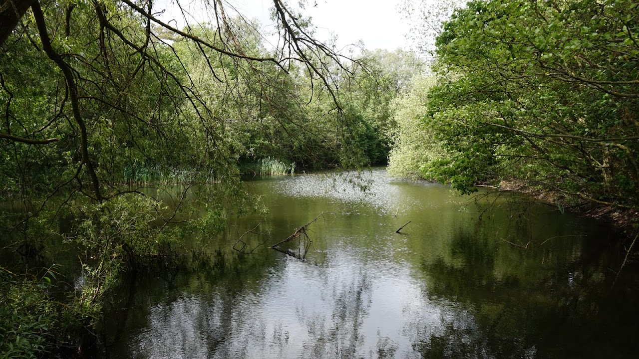 Ufton Fields Nature Reserve