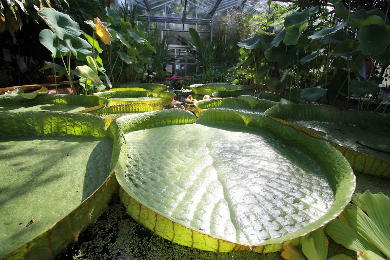 University of Bristol Botanic Gardens