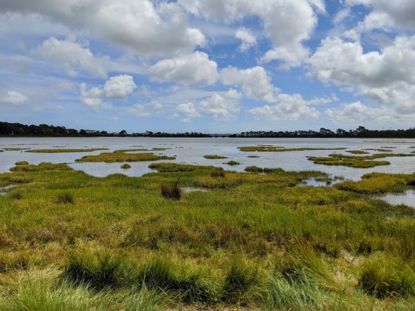 Upton Country Park