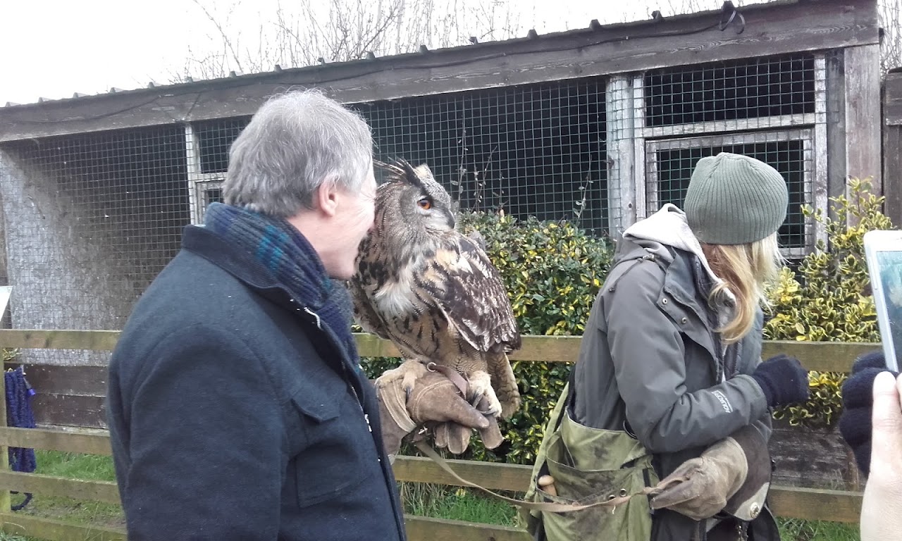 Vale Royal Falconry Centre