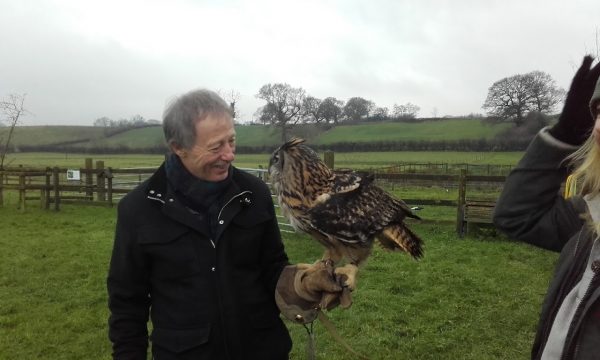 Vale Royal Falconry Centre