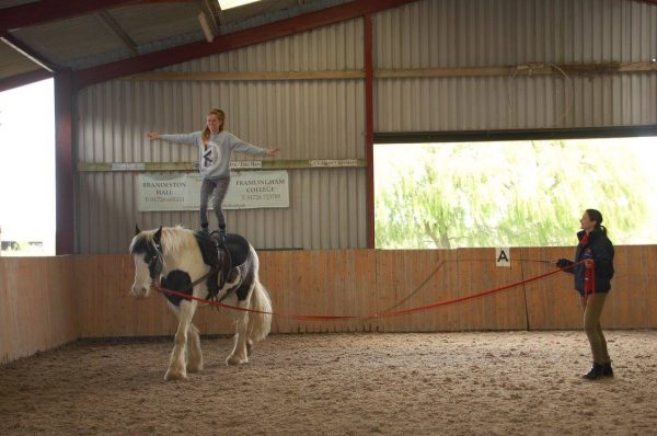 Valley Farm Equestrian Leisure