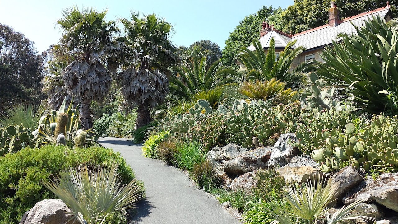Ventnor Botanic Gardens