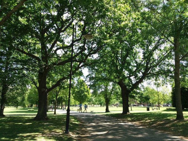 Victoria Park Ashford