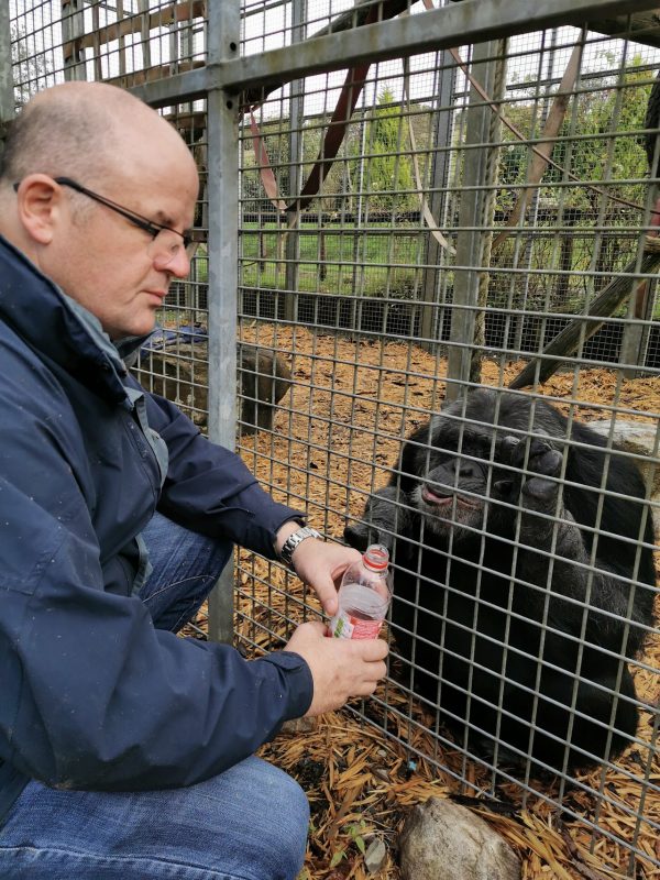 Wales Ape and Monkey Sanctuary
