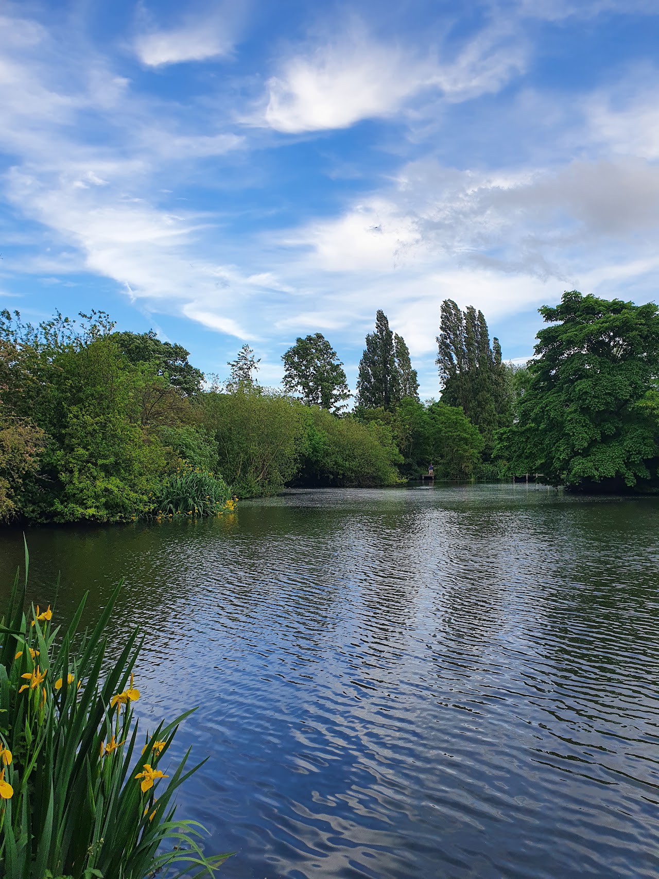 Wandsworth Common