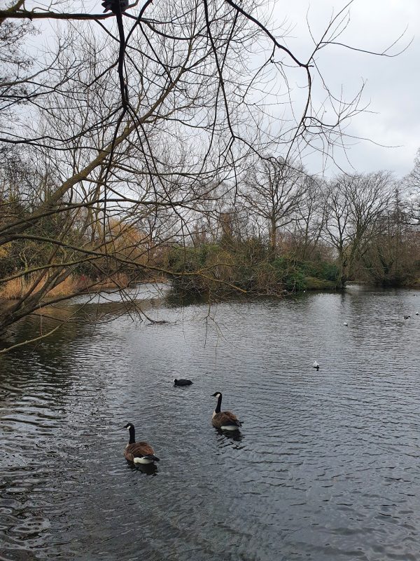 Wandsworth Common