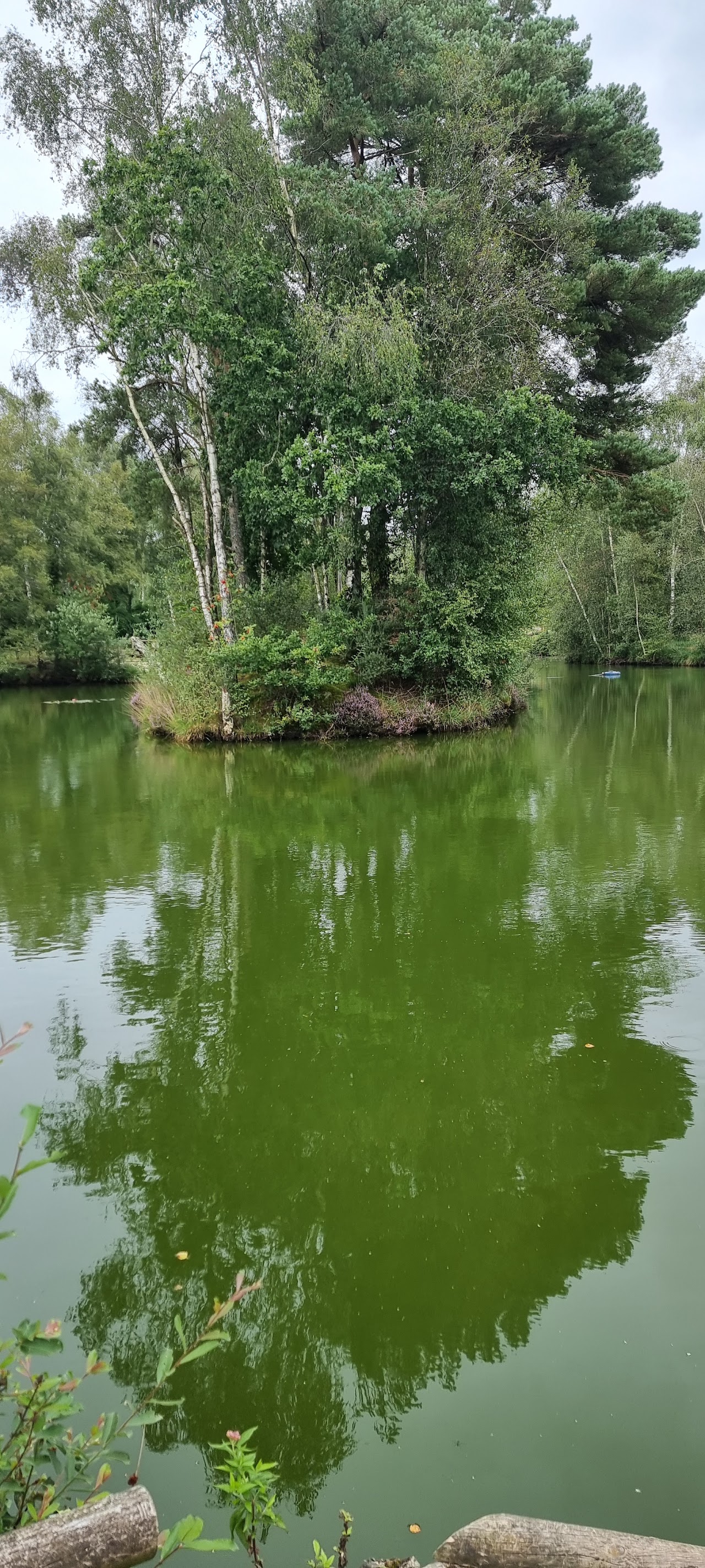 Warmwell Fisheries