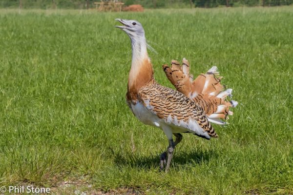 Watatunga Wildlife Reserve
