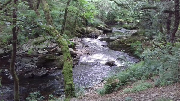 Watersmeet
