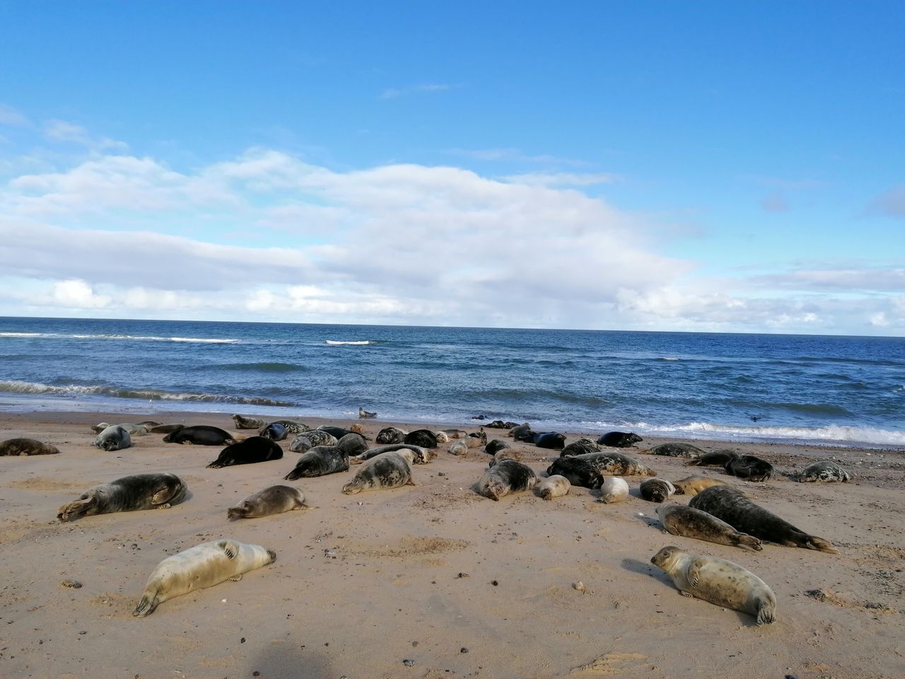 Norfolk Coast National Landscape
