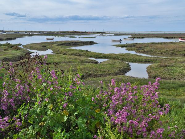 Norfolk Coast National Landscape