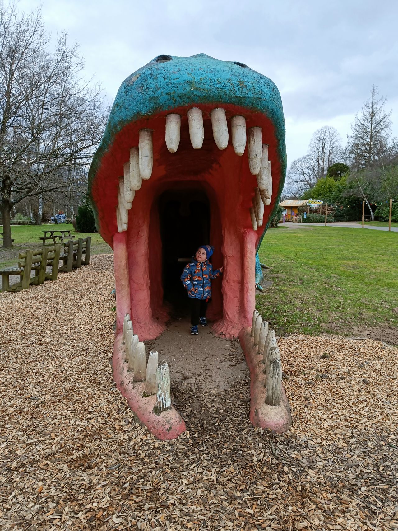 ROARR!