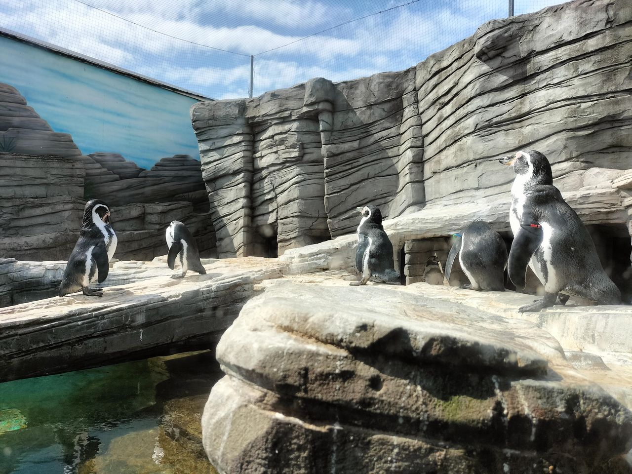 SEA LIFE Great Yarmouth