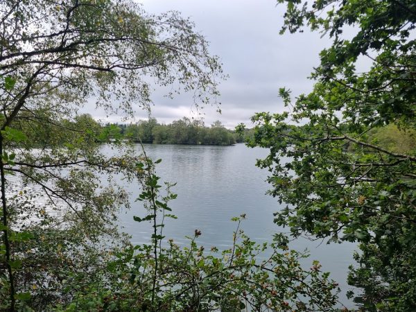 Wellington Country Park